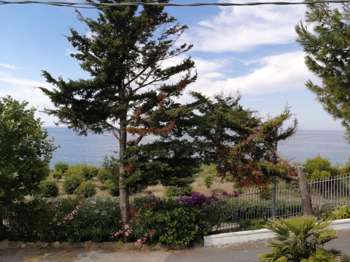 Monolocale con Vista Mare