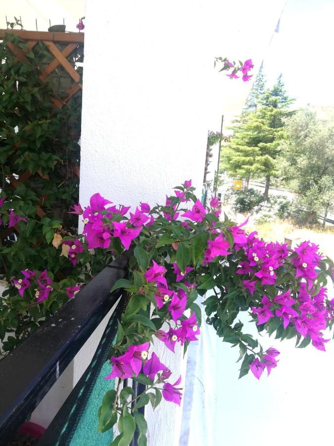 Camera Quadrupla con Balcone