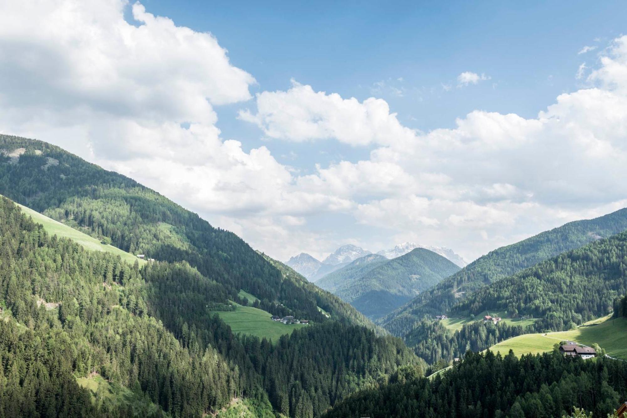 Suite Dolomiti Talblick