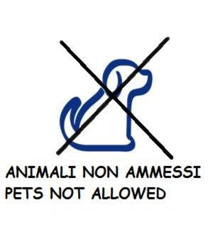 One-Bedroom Suite (4 Adults) - No Pets Allowed