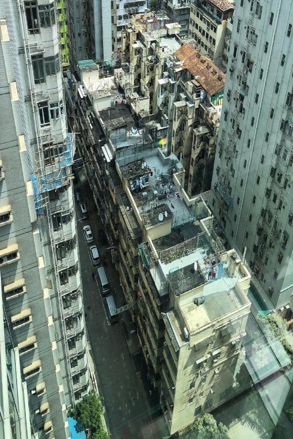 High Floor Standard Twin Room