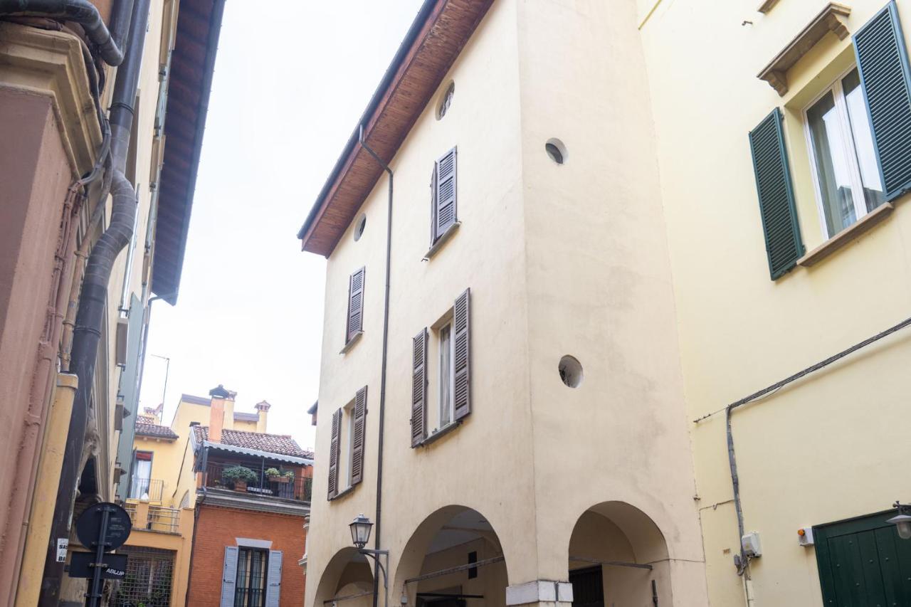 Camera King Deluxe
