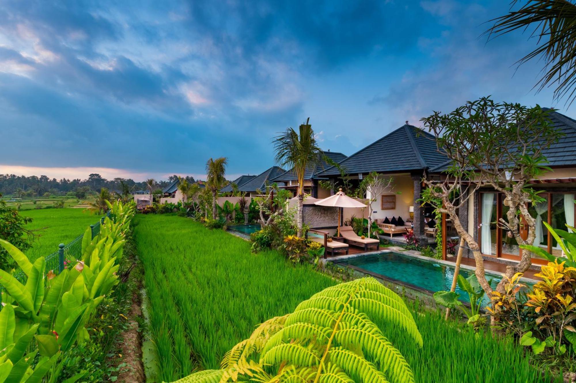 One Bedroom Private Pool Villa Rice field View