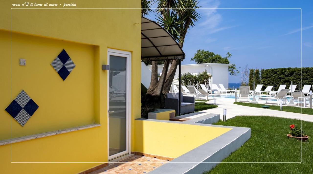 Camera Queen Deluxe