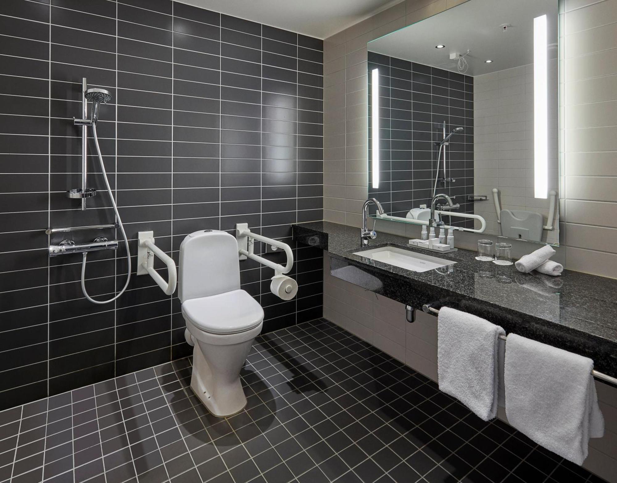 Standard King Room Accessible