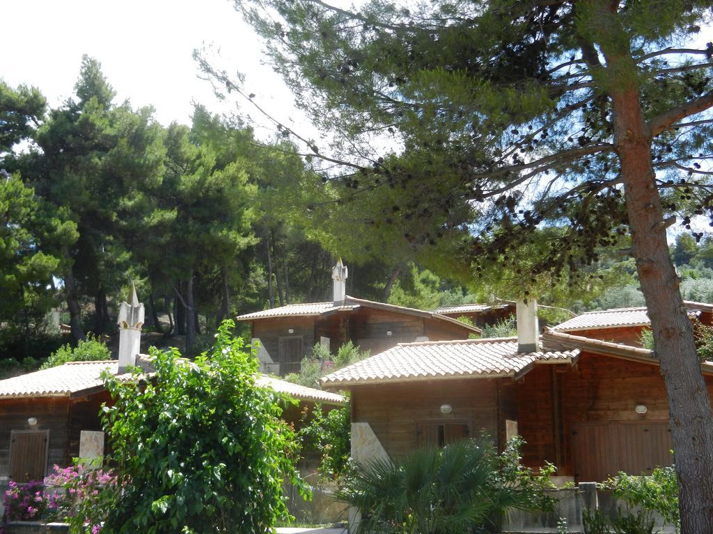 Two-Bedroom Superior Villa,1589574172:JPEG