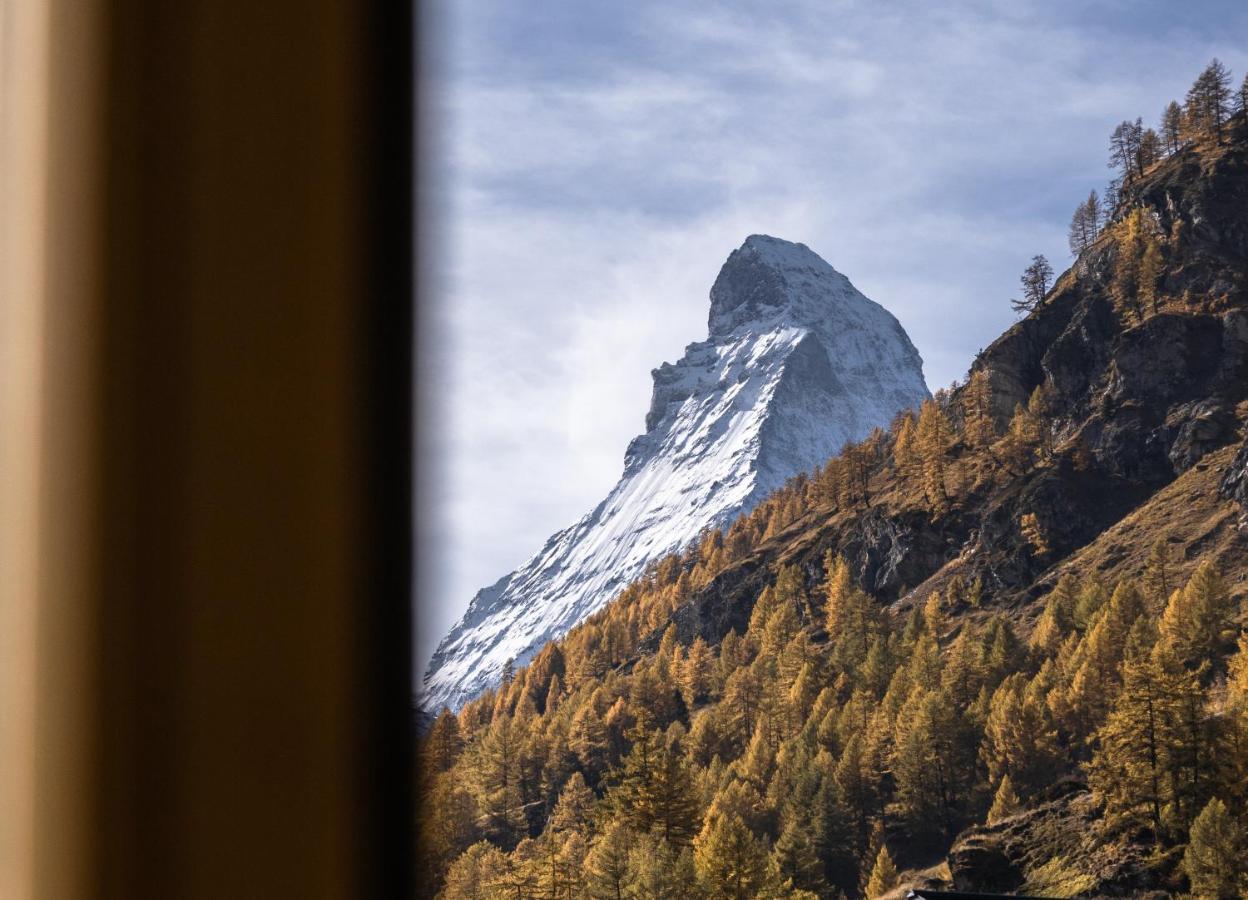 Camera Singola con Bagno in Comune