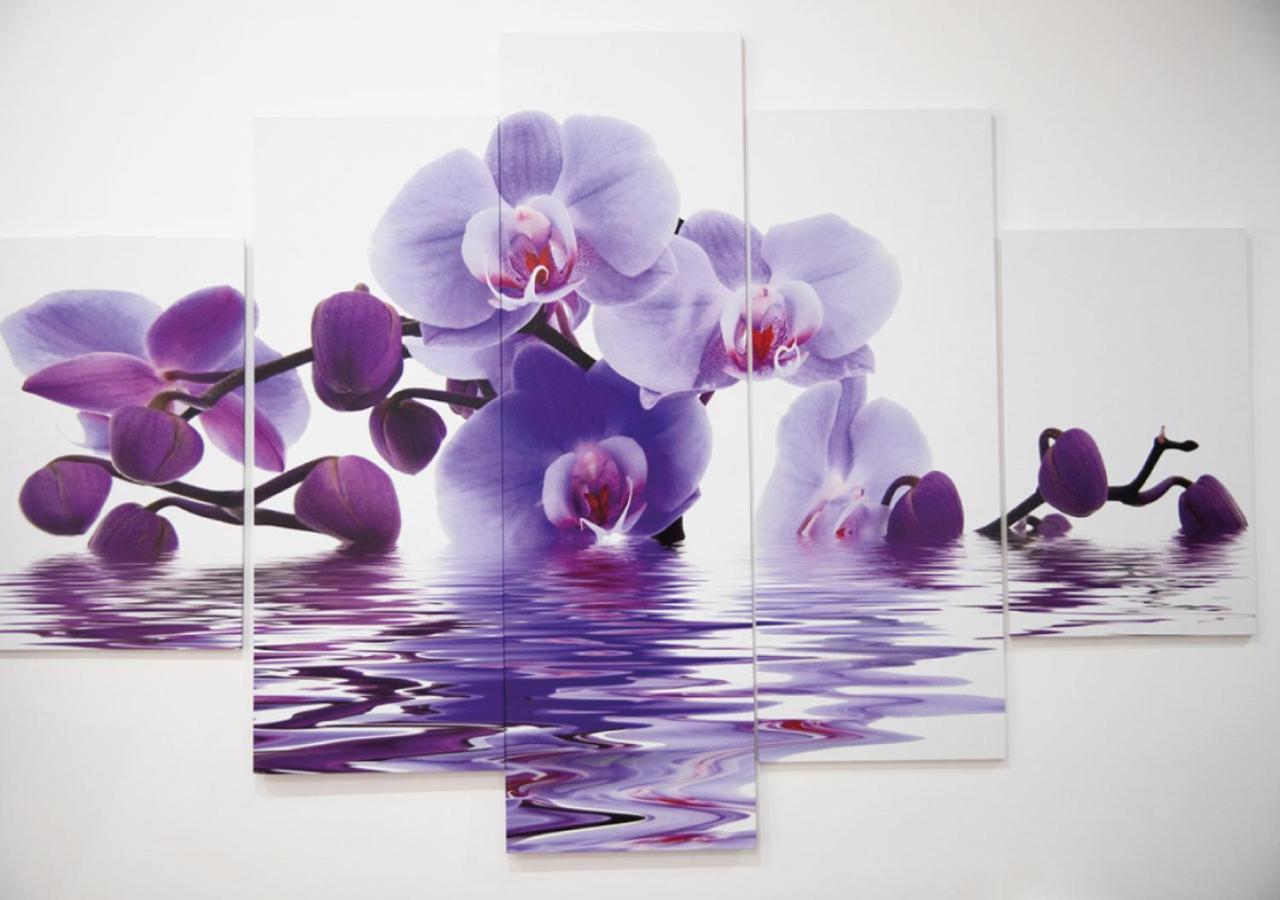 Camera Tripla Budget