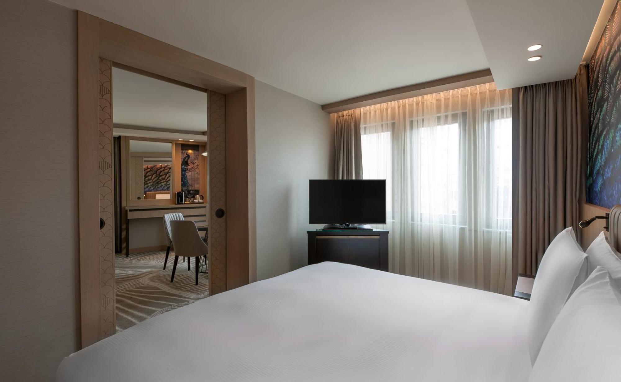 Suite Deluxe King con 1 Camera da Letto