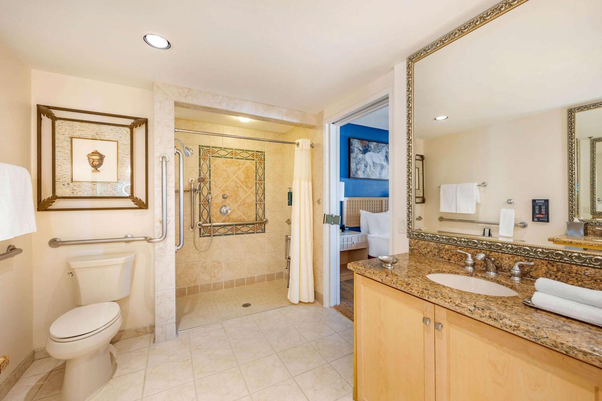 Suite Deluxe con 1 Camera con 1 Letto King-Size e Doccia con Accesso per Sedie a Rotelle