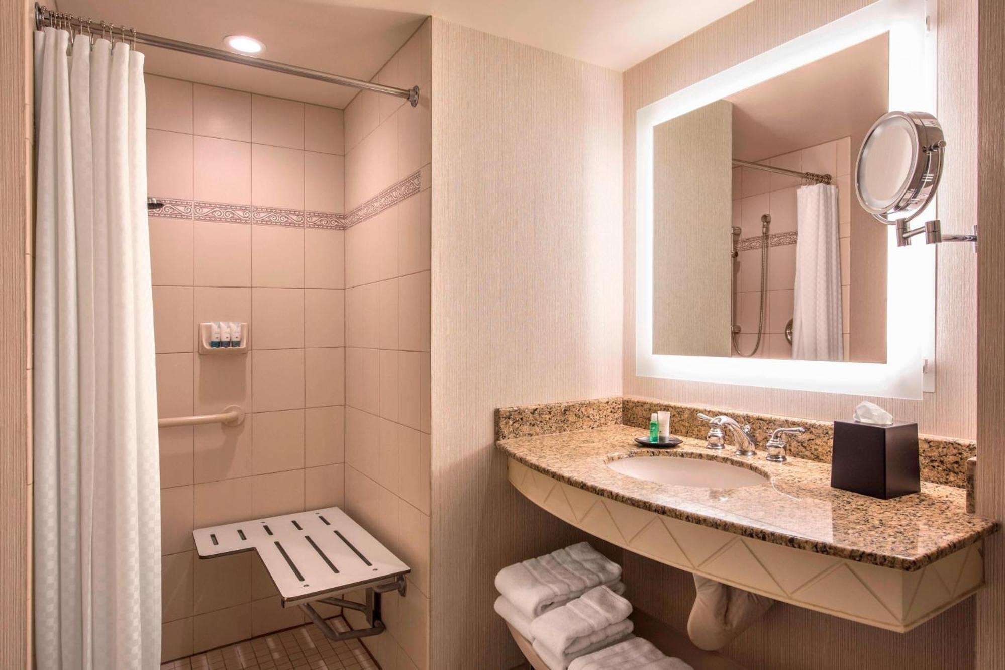 Camera con 1 Letto King-Size e Vista Piscina