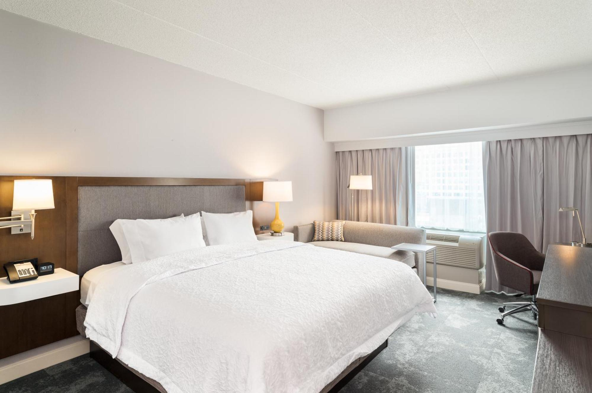 Suite King con 1 Camera da Letto e Divano Letto - Non Fumatori