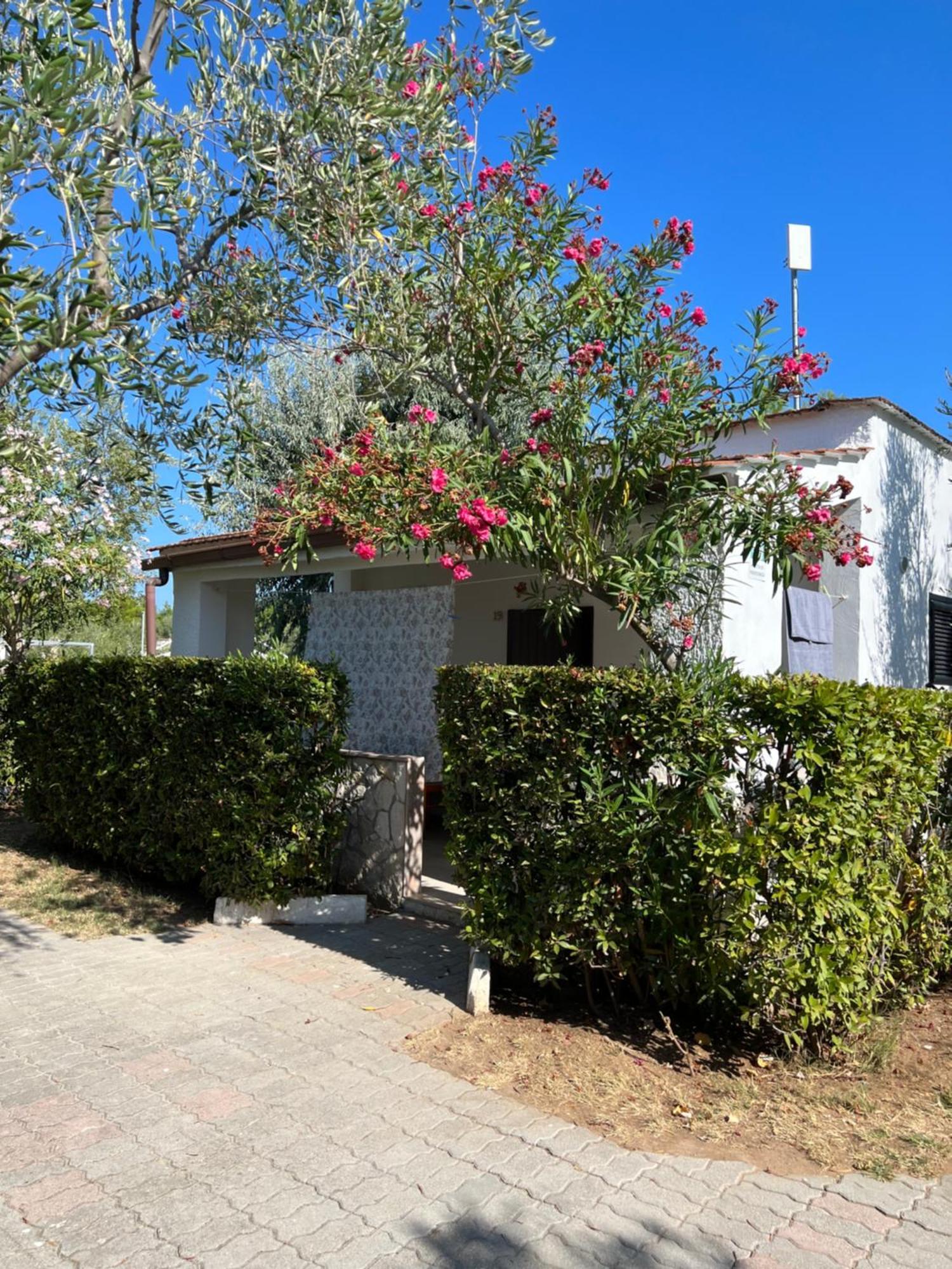 Bungalow con 2 Camere da Letto