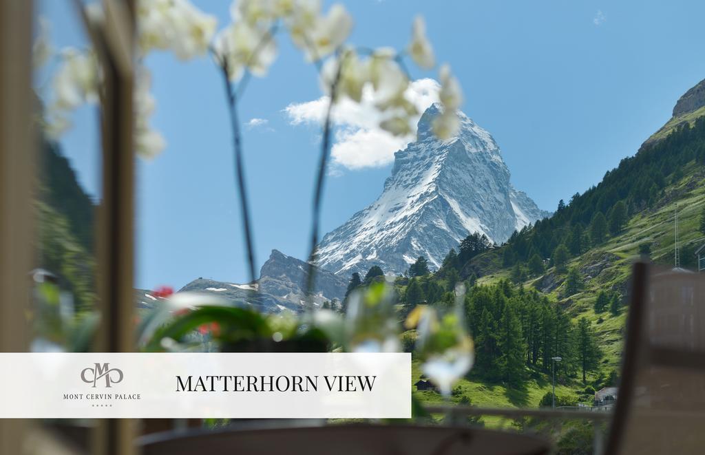 Suite Alpina con 1 Camera da Letto e Vista Cervino