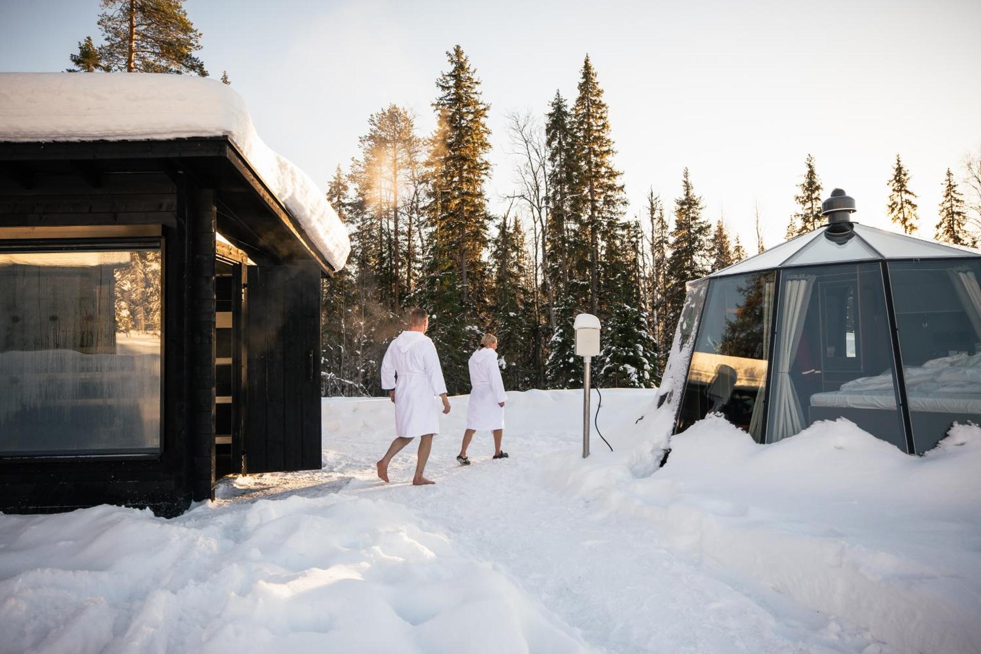 Aurora Hut
