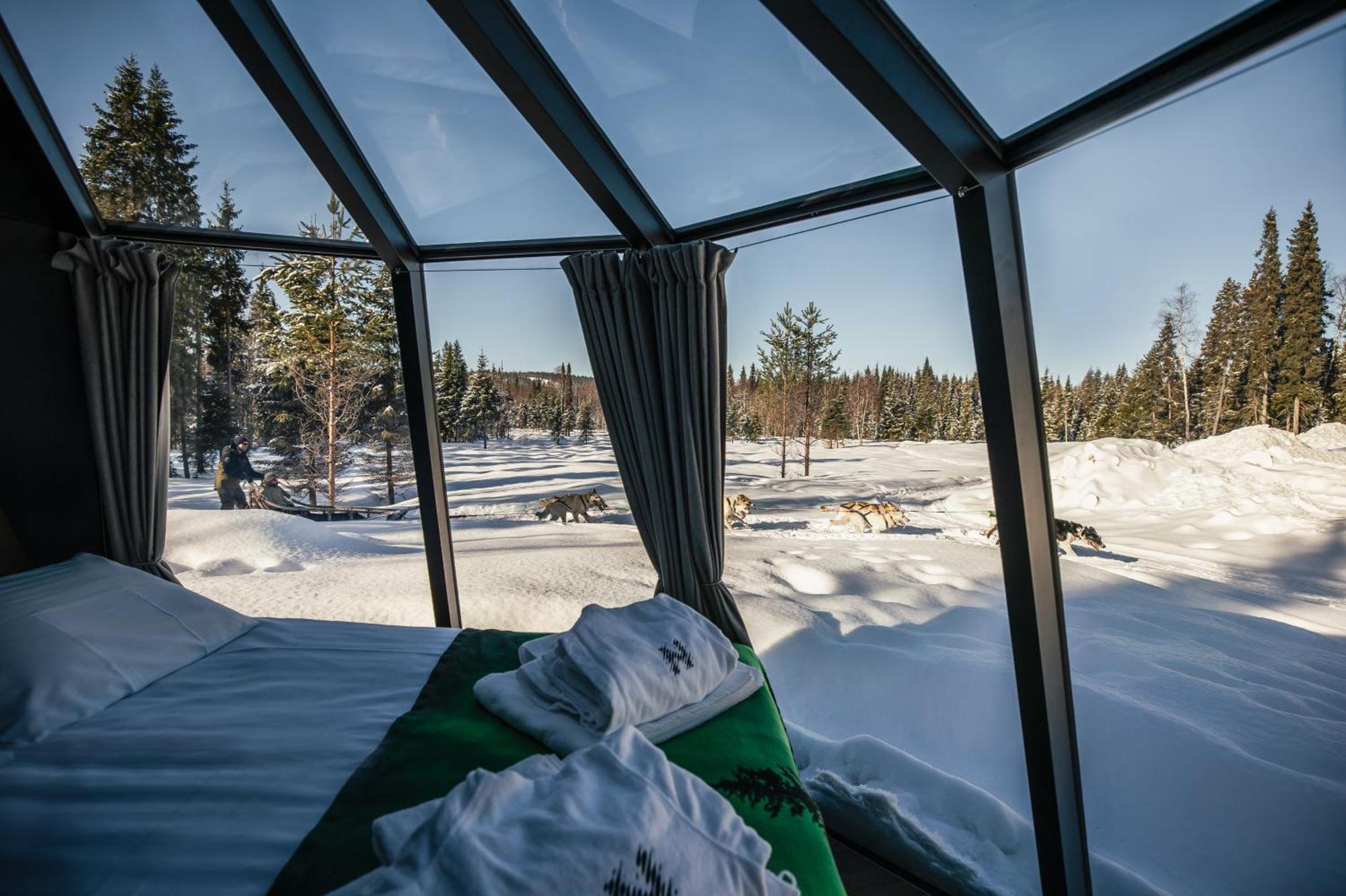 Aurora Hut