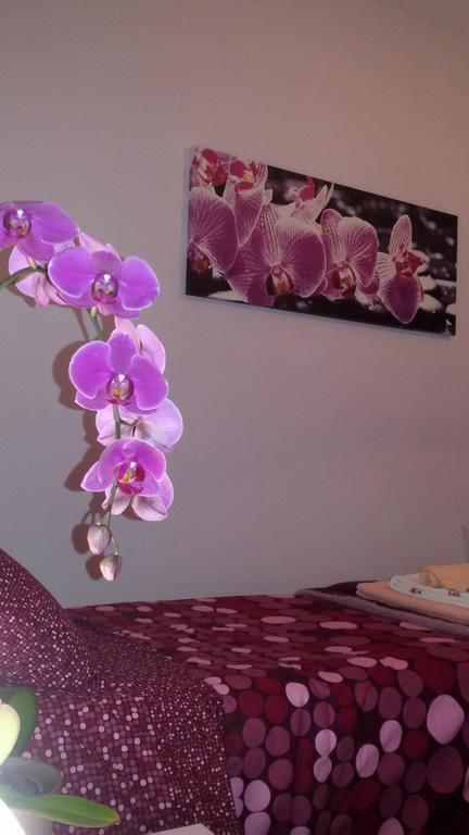 Twin Room with Private External Bathroom,158303247:JPEG
