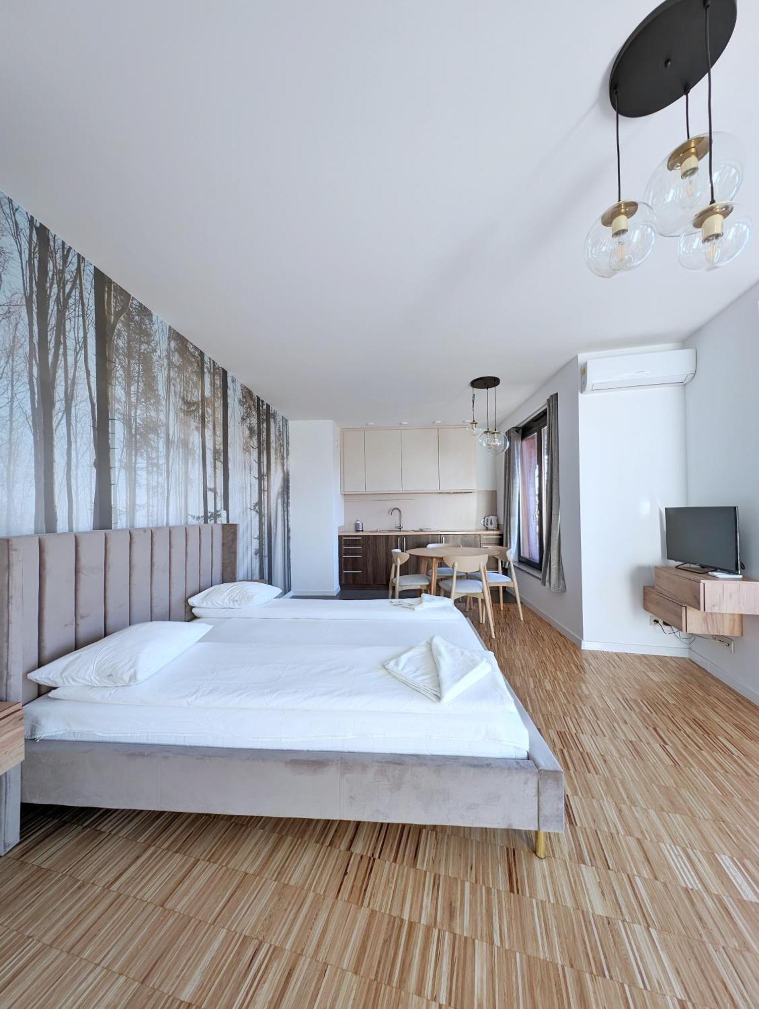 Family Suite Terrace Air Conditioning