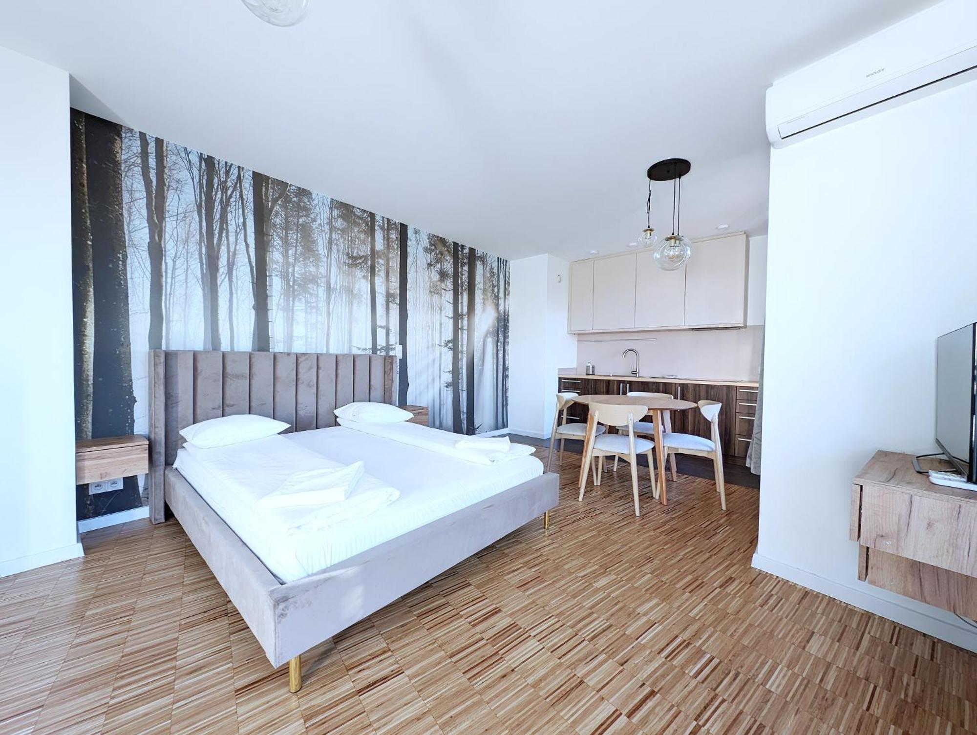 Family Suite Terrace Air Conditioning