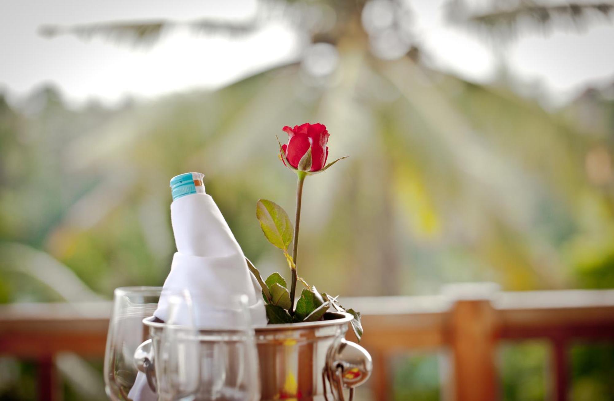 Honeymoon at Suite Room