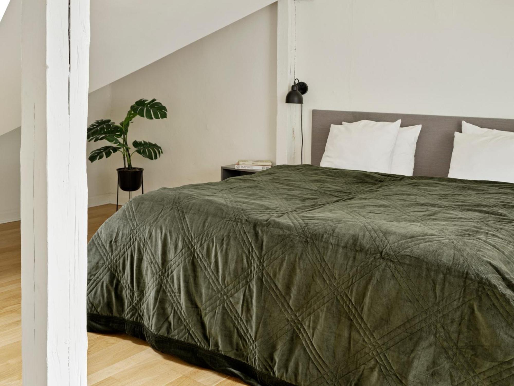Two-Bedroom Loft without elevator 5th Floor
