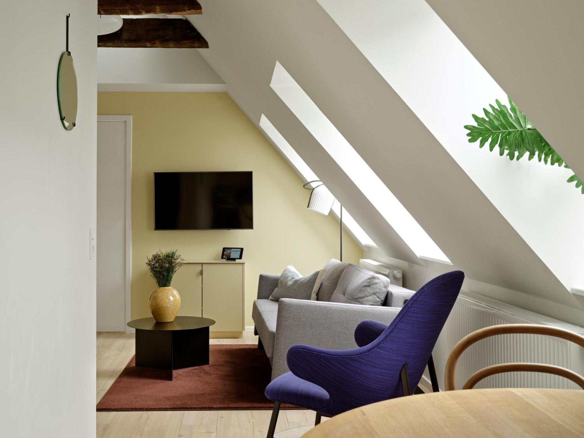 Split Level Apartment Loft Bed