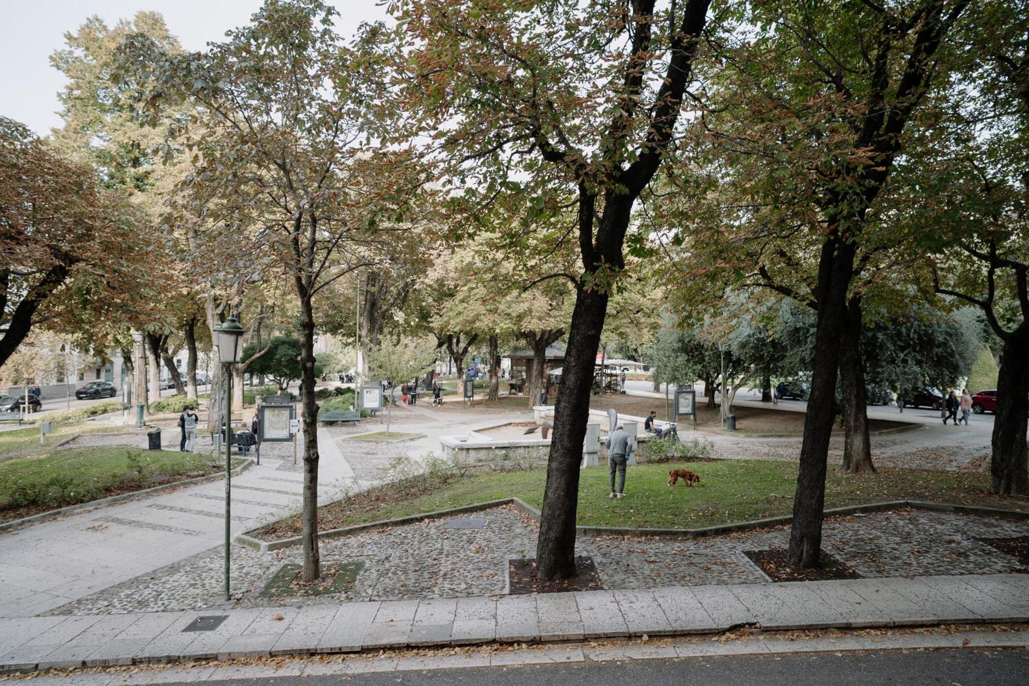 Monolocale