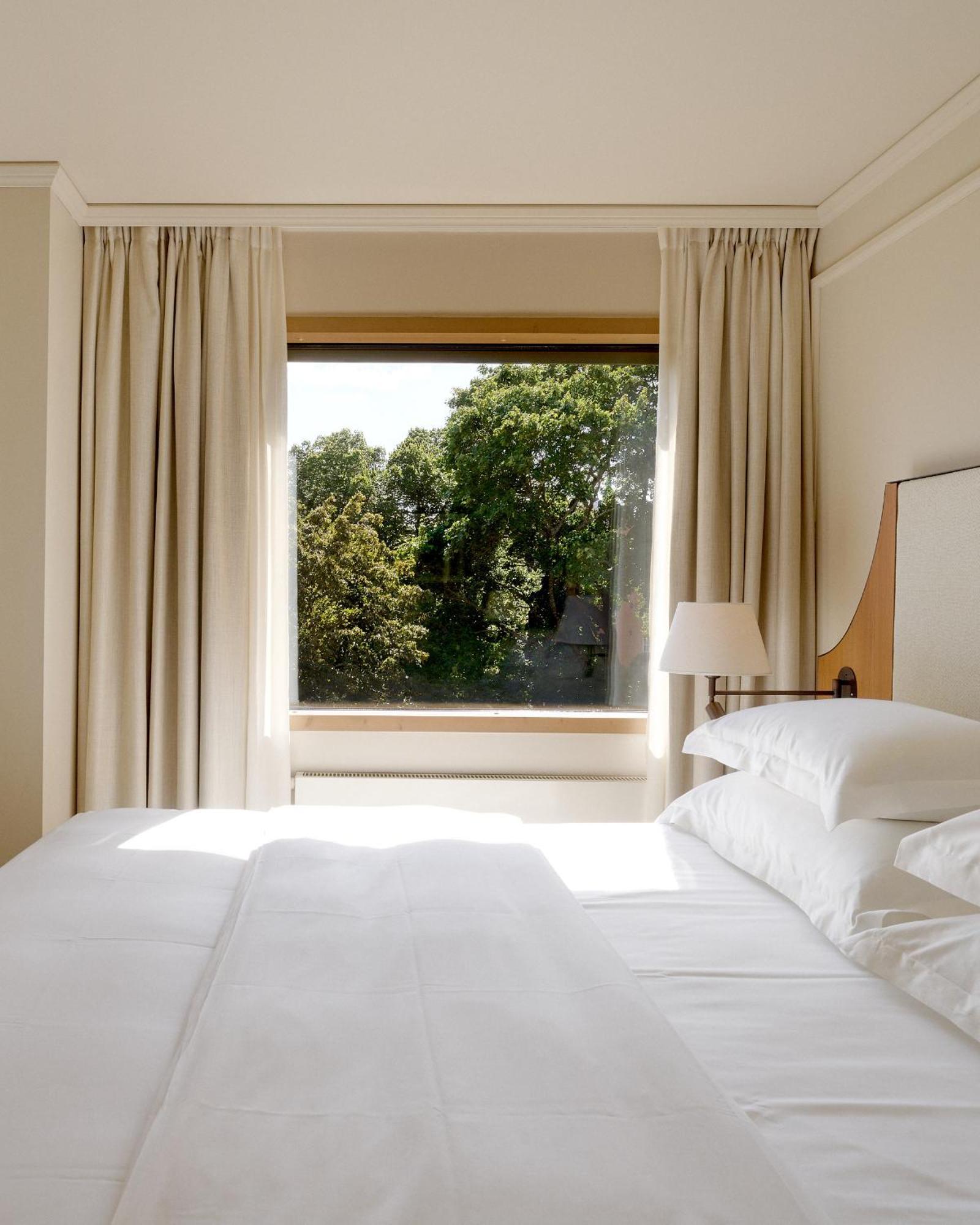 Superior Room Park View