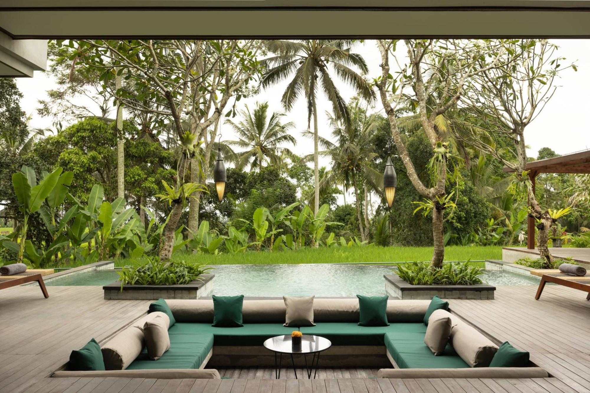 Inara Presidential Rice Field View