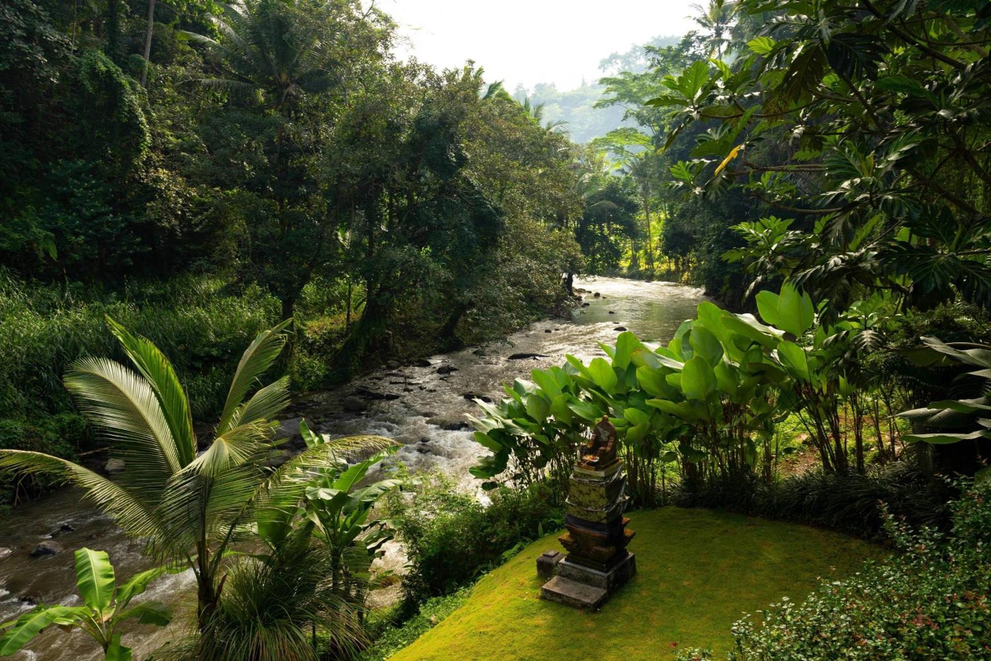 Reserve Pool Villa 2 Bedroom Villa Ayung River view