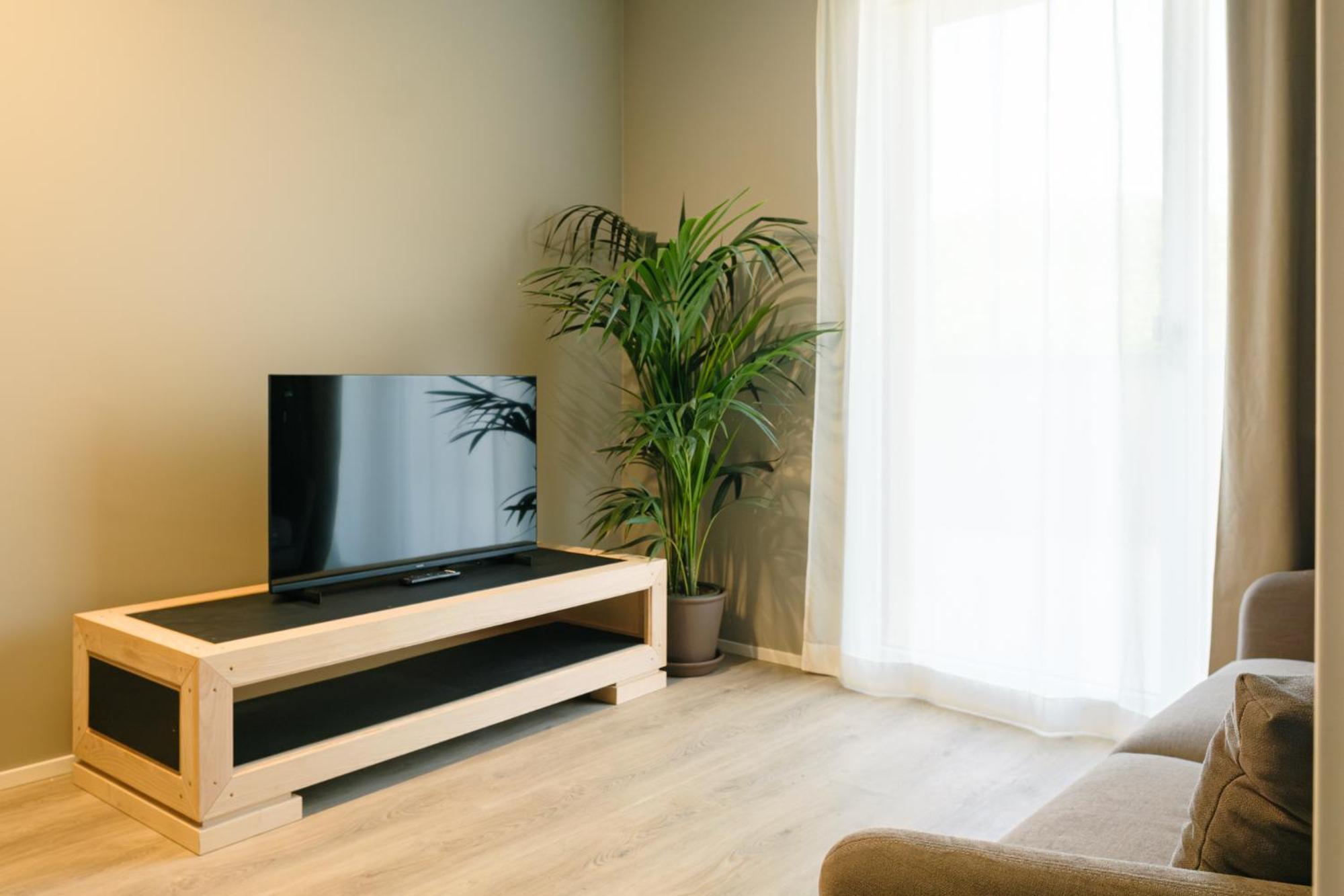 One-Bedroom Apartment Terrace