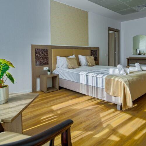 Premium Apartment