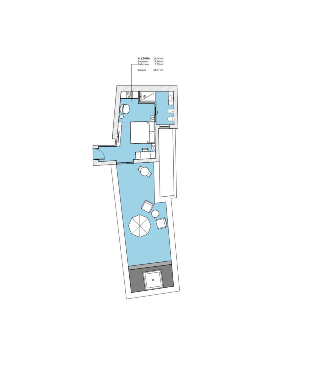 Double Room with Mini Pool and Sea View Terrace