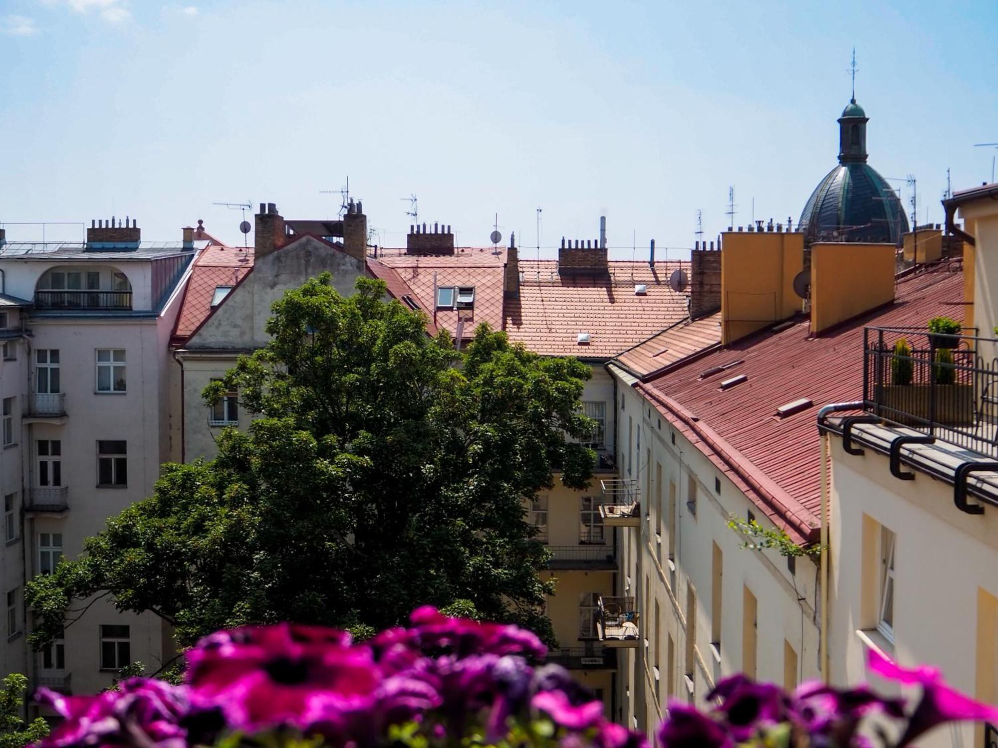 Apartment Terrace