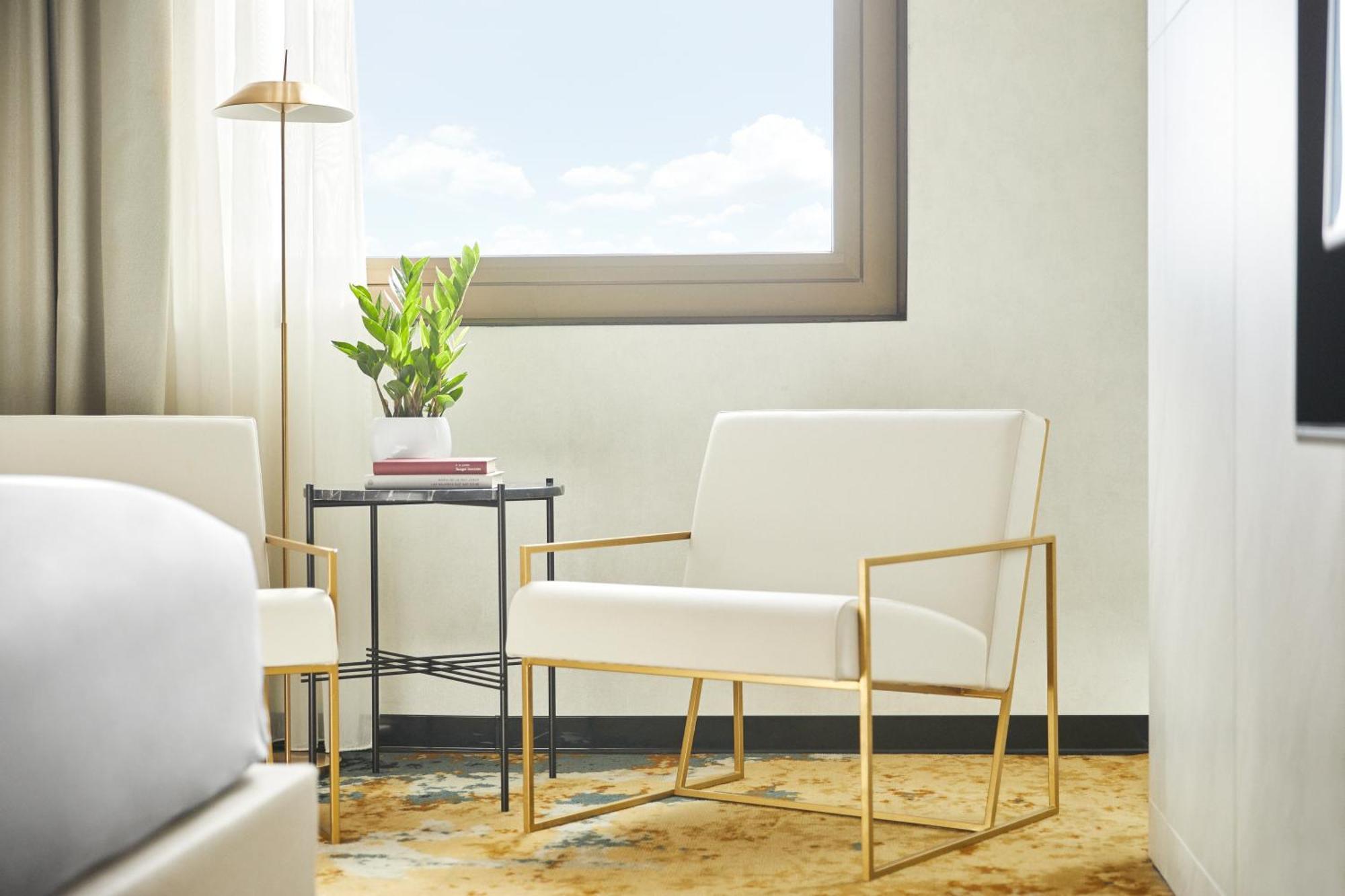 Suite Monolocale King