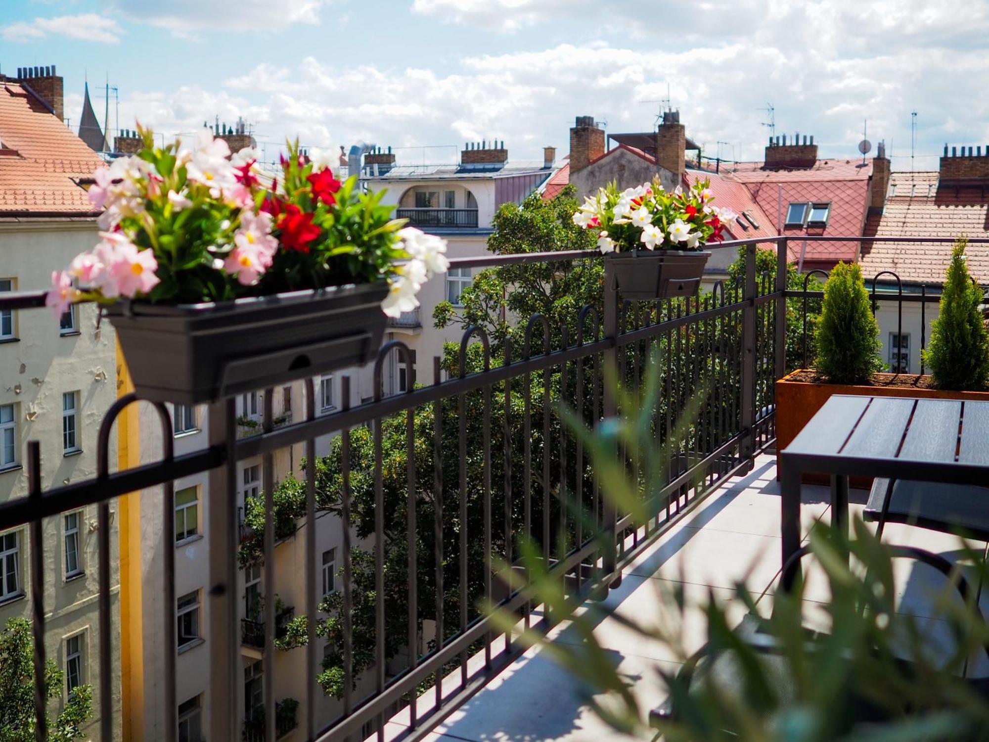Apartment Terrace