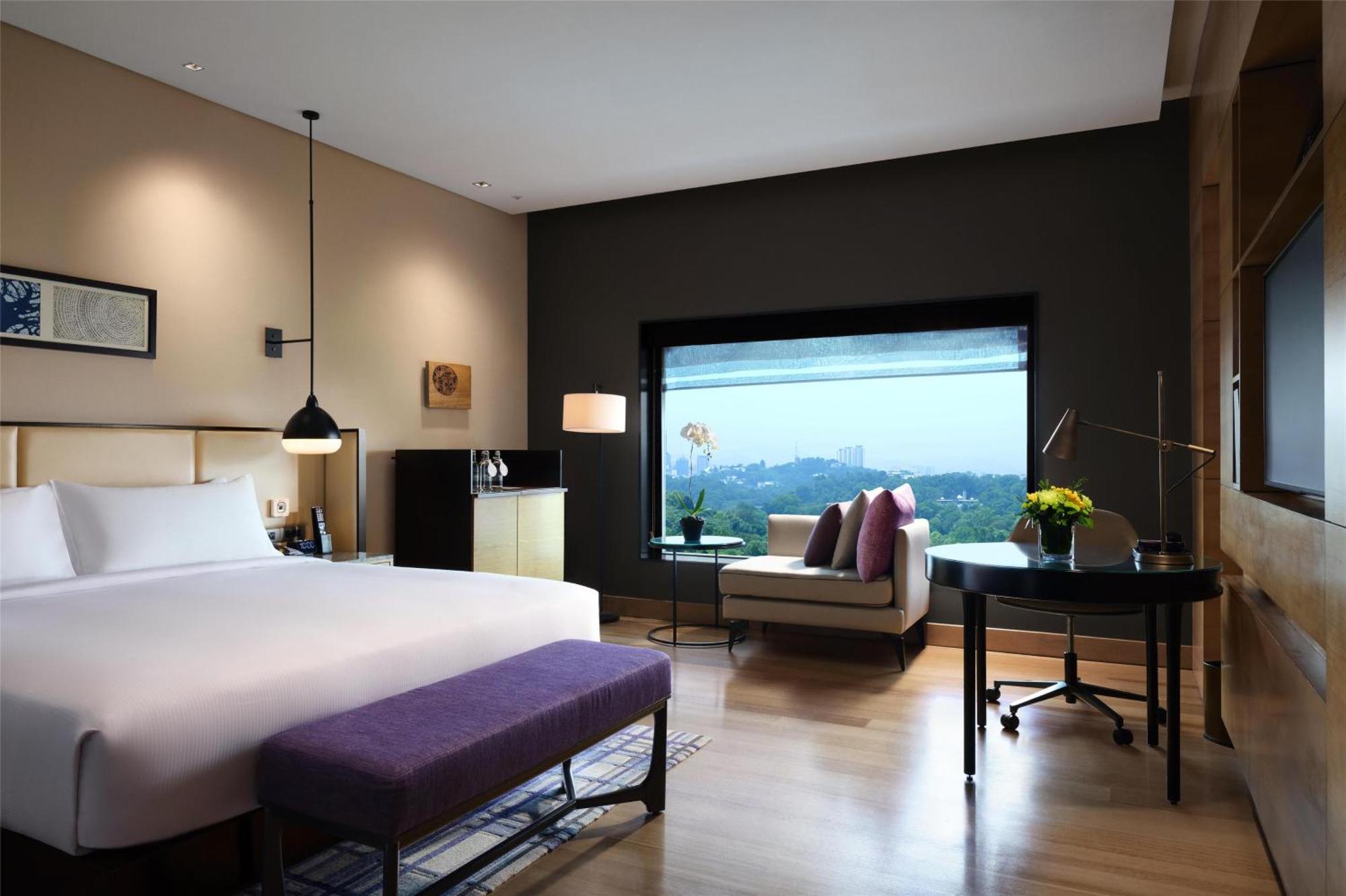 King Accessible Room Lake View