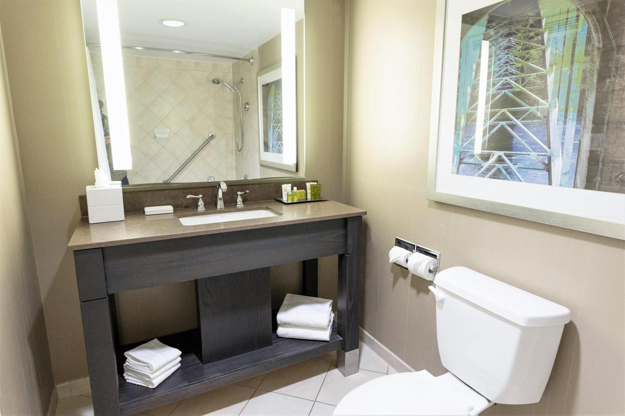 Queen Room Two Queen Beds Shower
