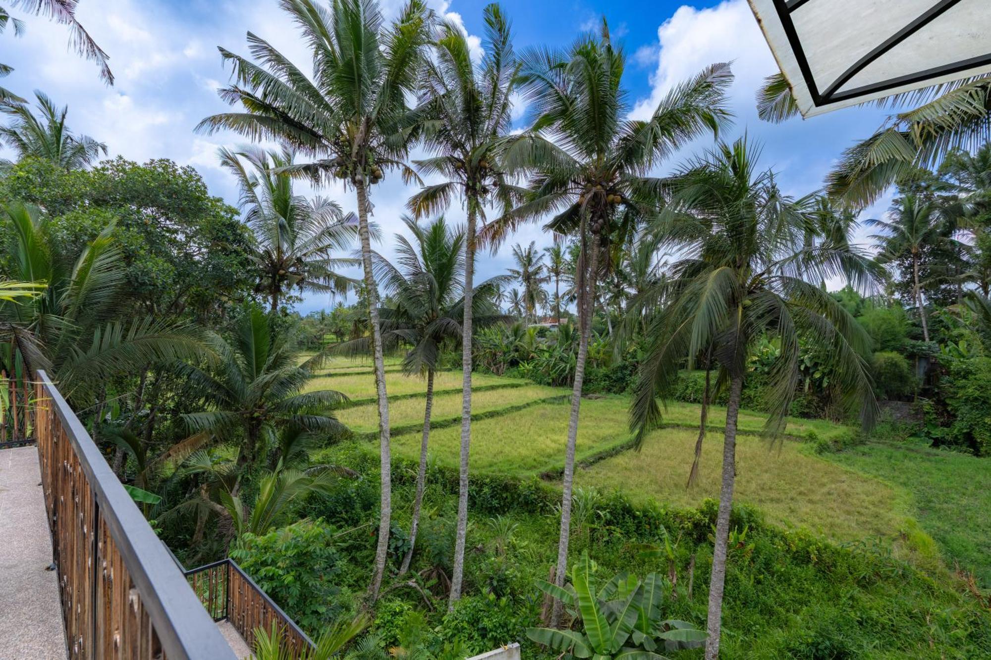 Twin Room Balcony