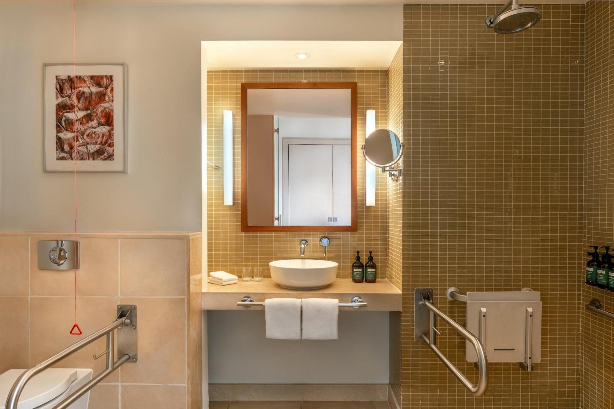 Deluxe King Room Accessible Pool View or Theme Park Access