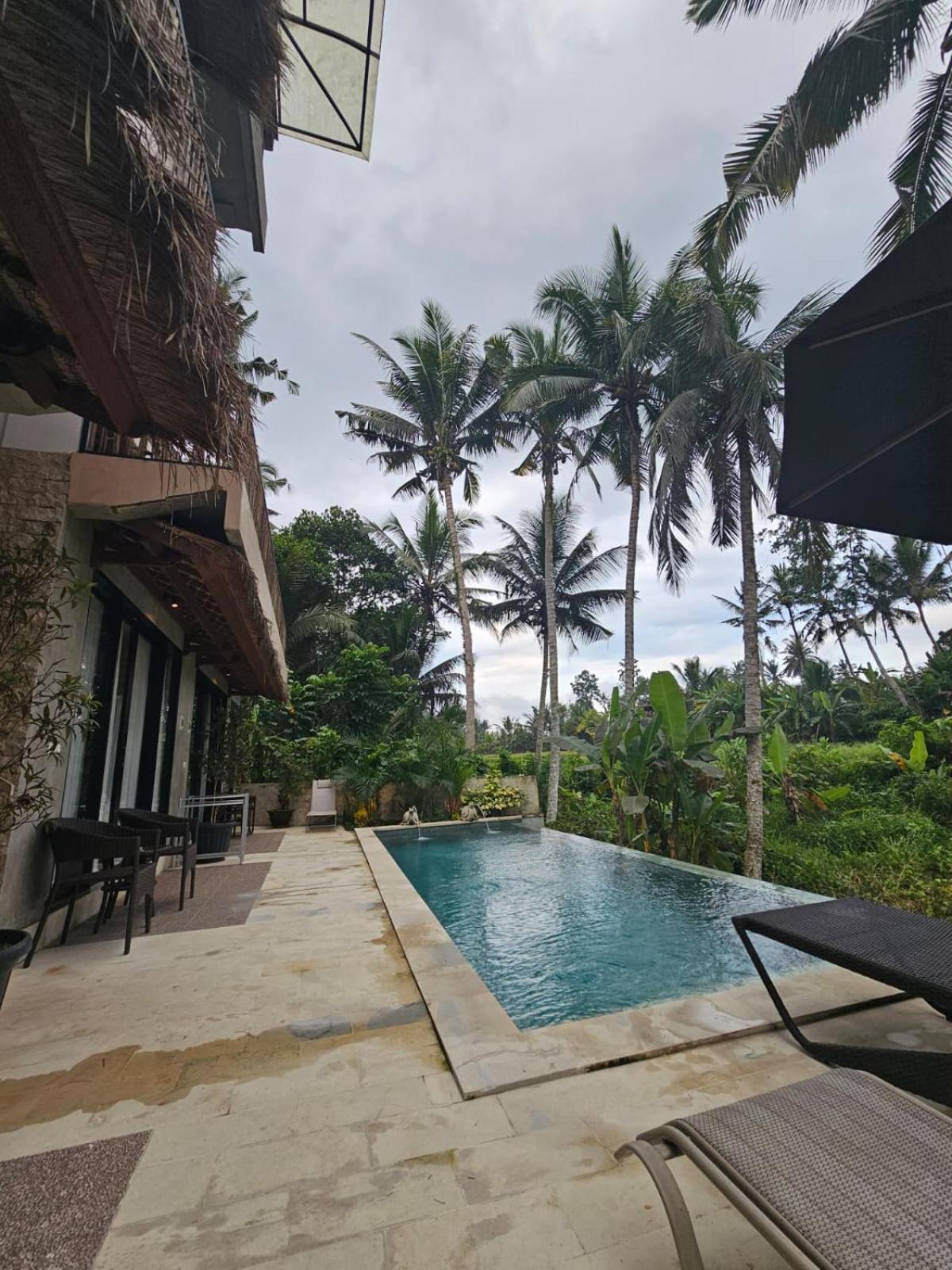 Queen Room Pool View
