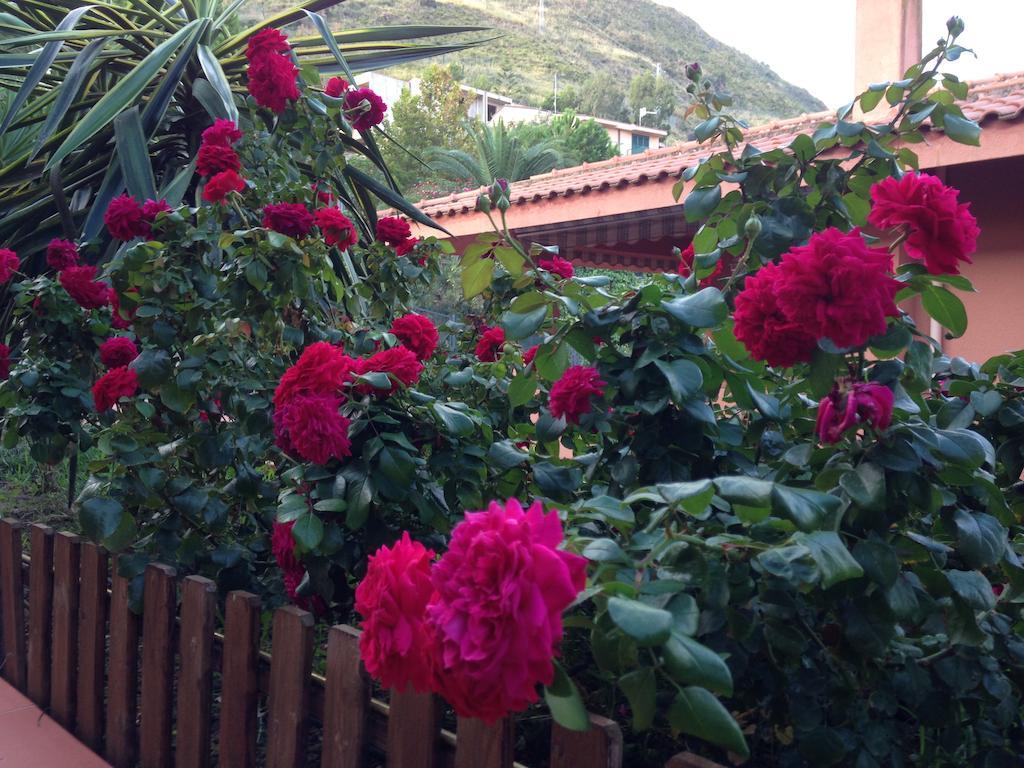 Camera Matrimoniale Superior con Terrazza