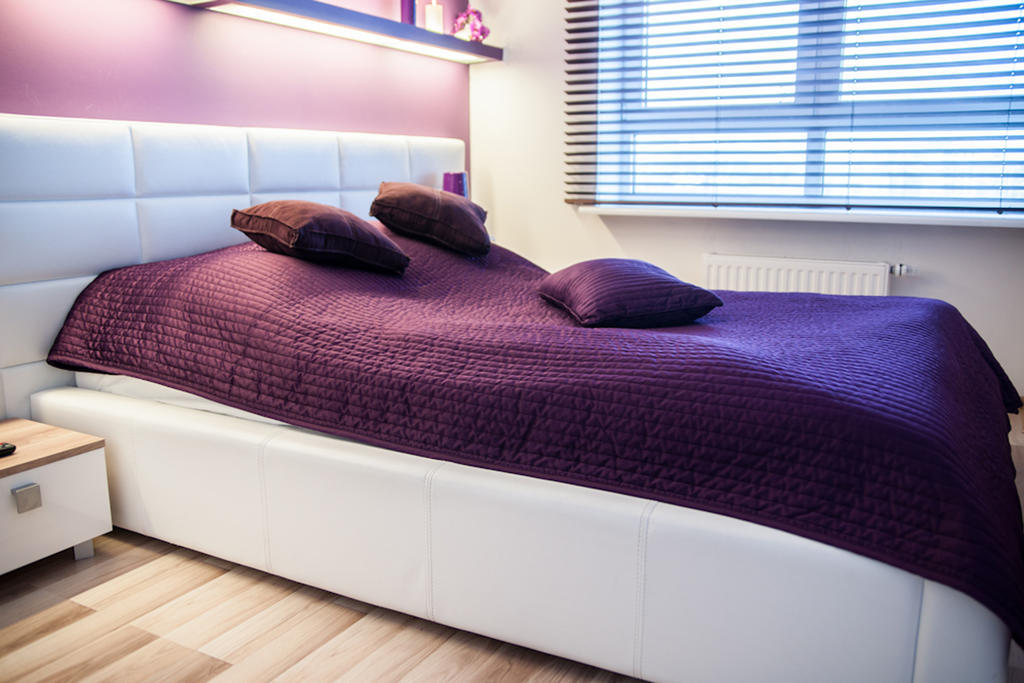 Deluxe One-Bedroom Apartment