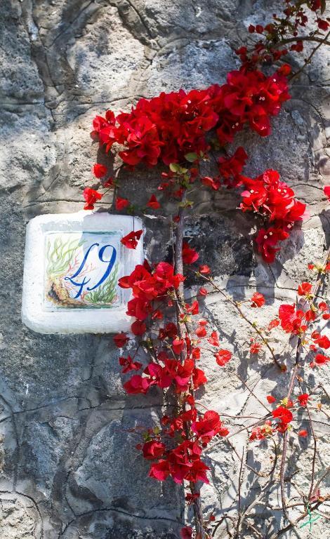 Appartamento con Vista Mare