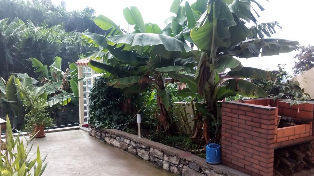 Family Room Garden View