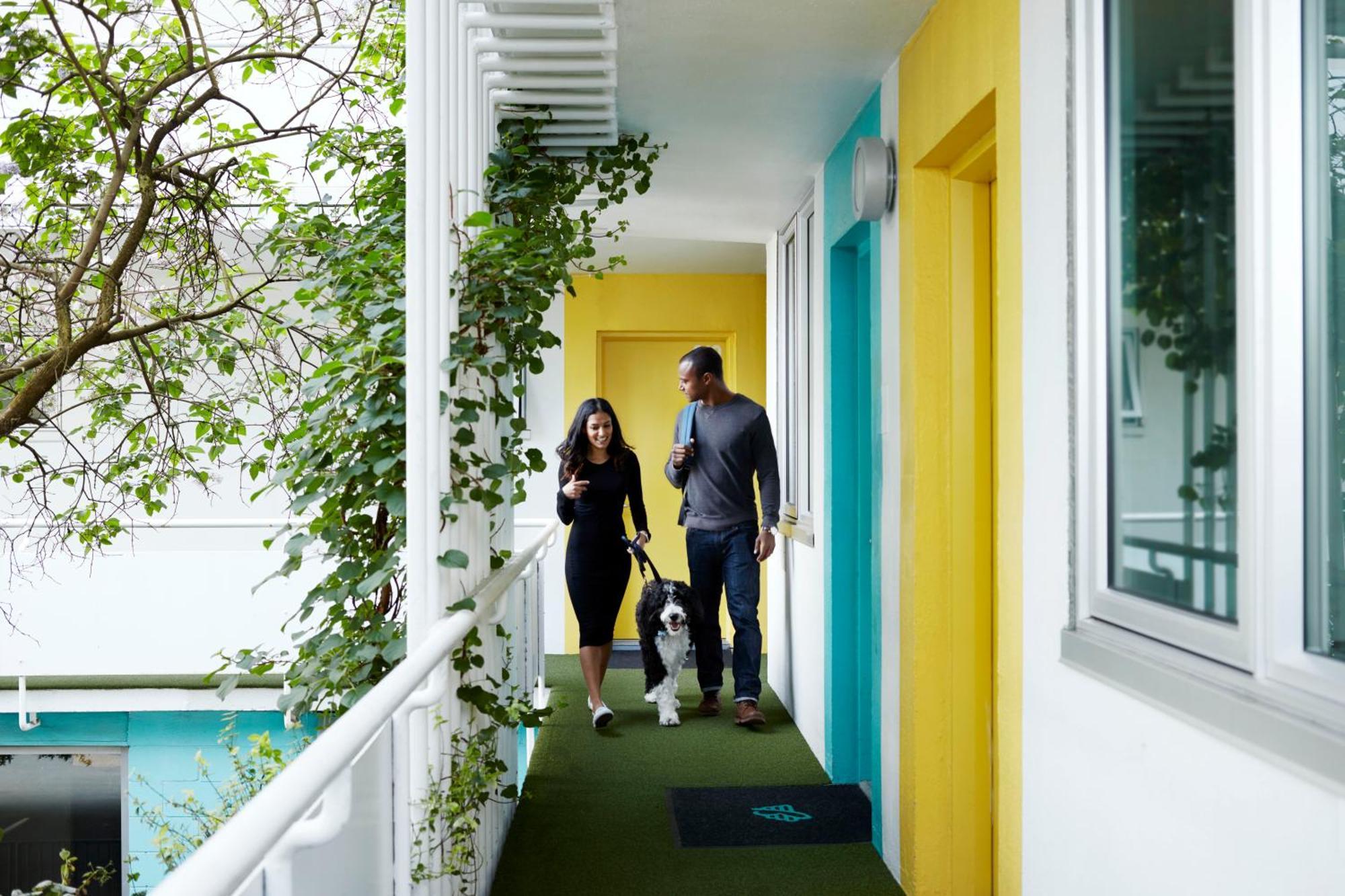 King Room Garden View