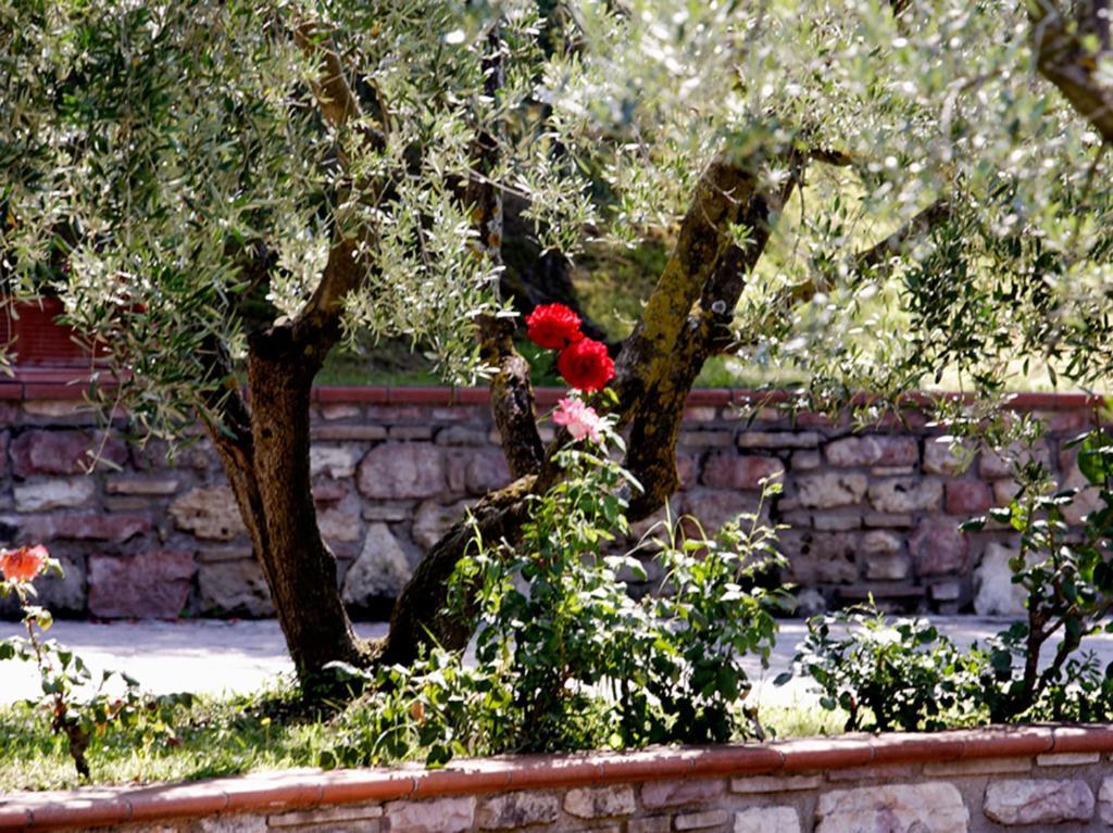 Camera Singola
