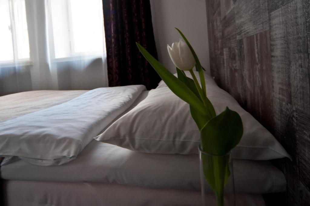 Single Room Welcome drink