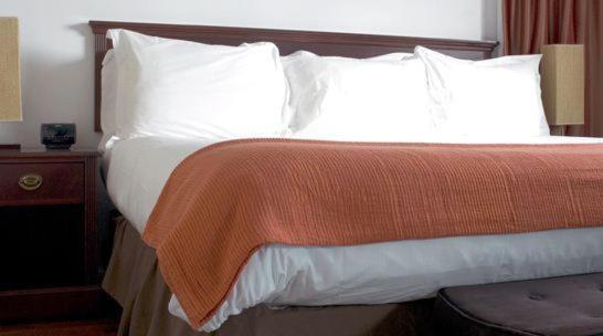 Suite con 1 Camera da Letto