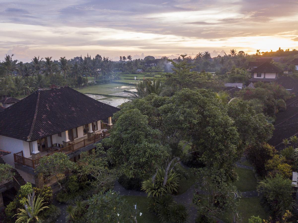 Honeymoon at Suite Room